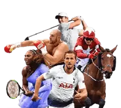 ARIONPLAY sports games featuring live betting, match odds, login